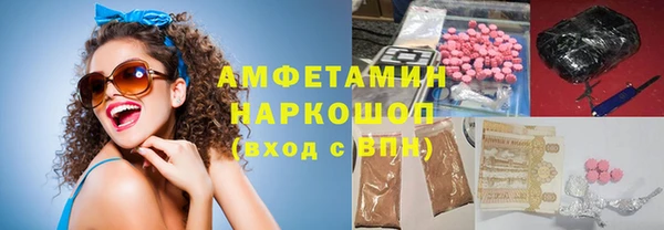 амф Гусев