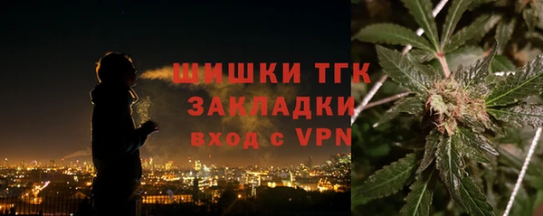 винт Гусь-Хрустальный