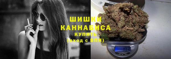 винт Гусь-Хрустальный