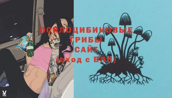 винт Гусь-Хрустальный