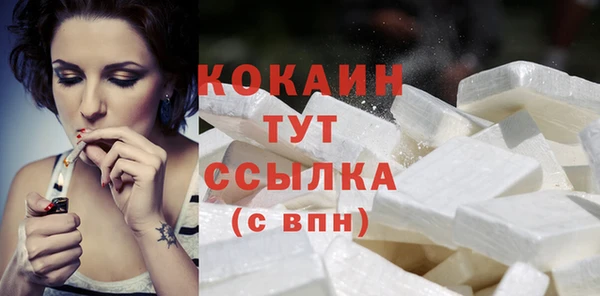 амф Гусев