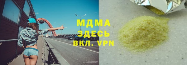 амф Гусев