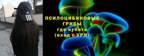 винт Гусь-Хрустальный