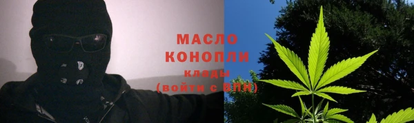 амф Гусев