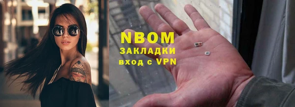 амф Гусев