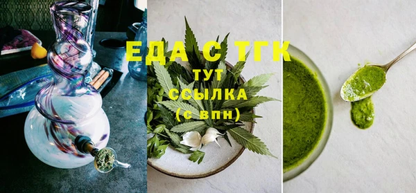 амф Гусев