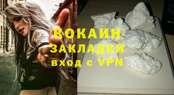 винт Гусь-Хрустальный