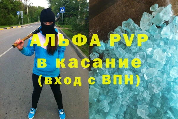 амф Гусев