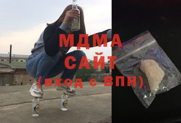 амф Гусев