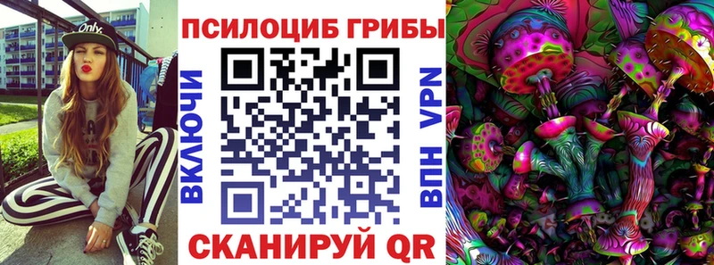 Купить закладки Знаменск Галлюциногенные грибы Psilocybe